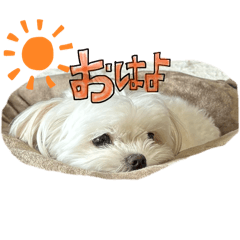 Moe_20260502231013