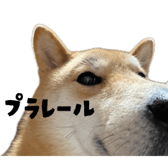 makino_20260502232502