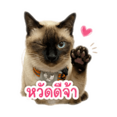 Aoom_20260428110817