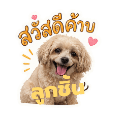 suwapat_20260430205927