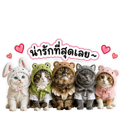 NONCARTOON_20260429044551