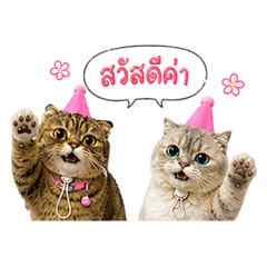 MinPaewTheCat