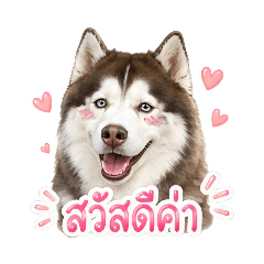 Rawadee_20260501160942