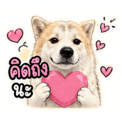 ChuiChai