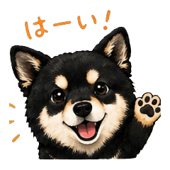 Dog's shiba