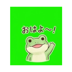 Everyday Froggy
