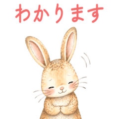 Polite & Empathetic Bunny Stickers