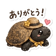 yucchi_20260502011842
