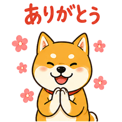 Shiba Inu Feelings2