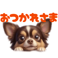 Moko's daily stamp 4