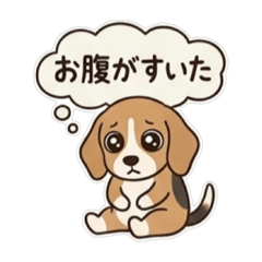 ASAMI_20260502032042