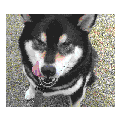kira tomo_20260502030748