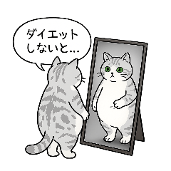 Daily chats with Hatsu, an AmSh-like mix