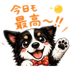 Cute Border Collie Daily Stickers 4