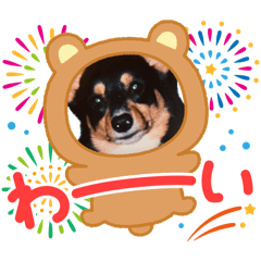 Ryou_20260502050022