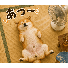 YUKIshiba_20260502045443