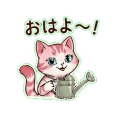 GARDEN CAT MOMO - Daily Chat Stickers