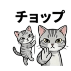 Full Power Active Kitten Daily Stickers