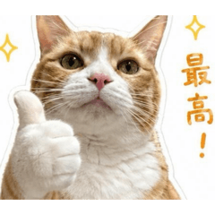maimai_20260502233926