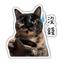 花生是隻貓1.0