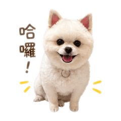 廖小朋友