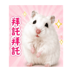 Mulu姆嚕