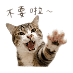 力力焦糖 （更）