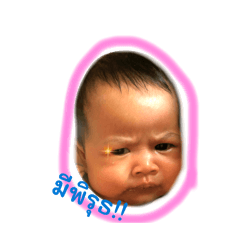 VANEL_20260428112525