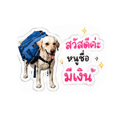 Sombest_20260428112327
