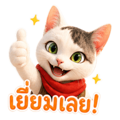 Namchok the Cat