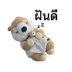 Piyakung Boy lala