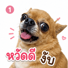 pangonaja