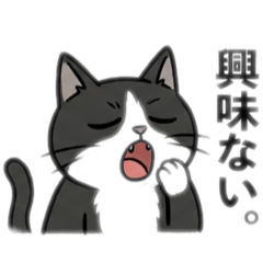 sanmoji_20260502075115