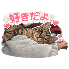Jiji_20260502080342