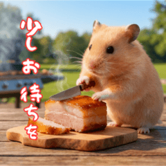 Monaka the hamster and summer vacation