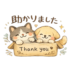 Rin_20260502075320