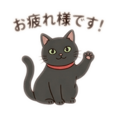 Black cat (respectful version)