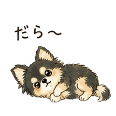Soft & Fluffy Dog (Black Chihuahua)