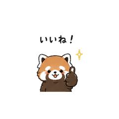 Fluffy Red Panda's Daily
