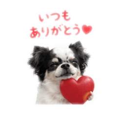 KAZUMIN^. .^_20260502085336