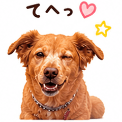 Short-Leg Dog Daily Stickers