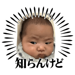 hrt_20260502235757