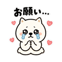 JIA DONGDONG_20260502235548
