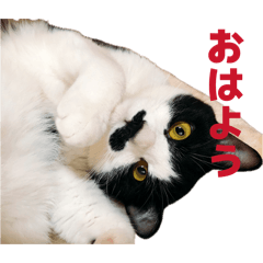 Tomo_20260503000043