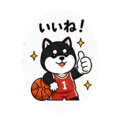 nikoniko_20260503000017