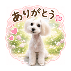 hichew_20260502234653