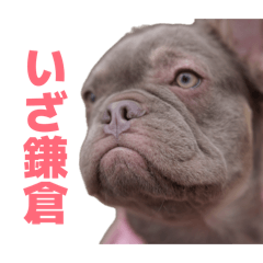 Murachan_20260503000649