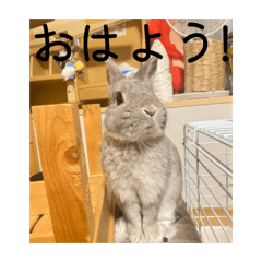 aha_20260502234704