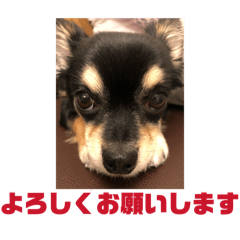 rirupapa_20260502235802