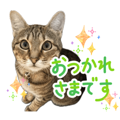 watagashi_20260503000012